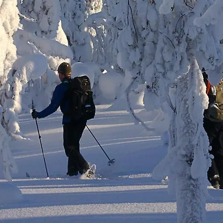 Daire Vanttaus Vanttauskoski