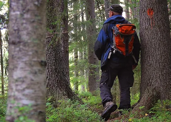 Vanttaus Apartamento Vanttauskoski